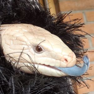 Meet your Posher, Mary